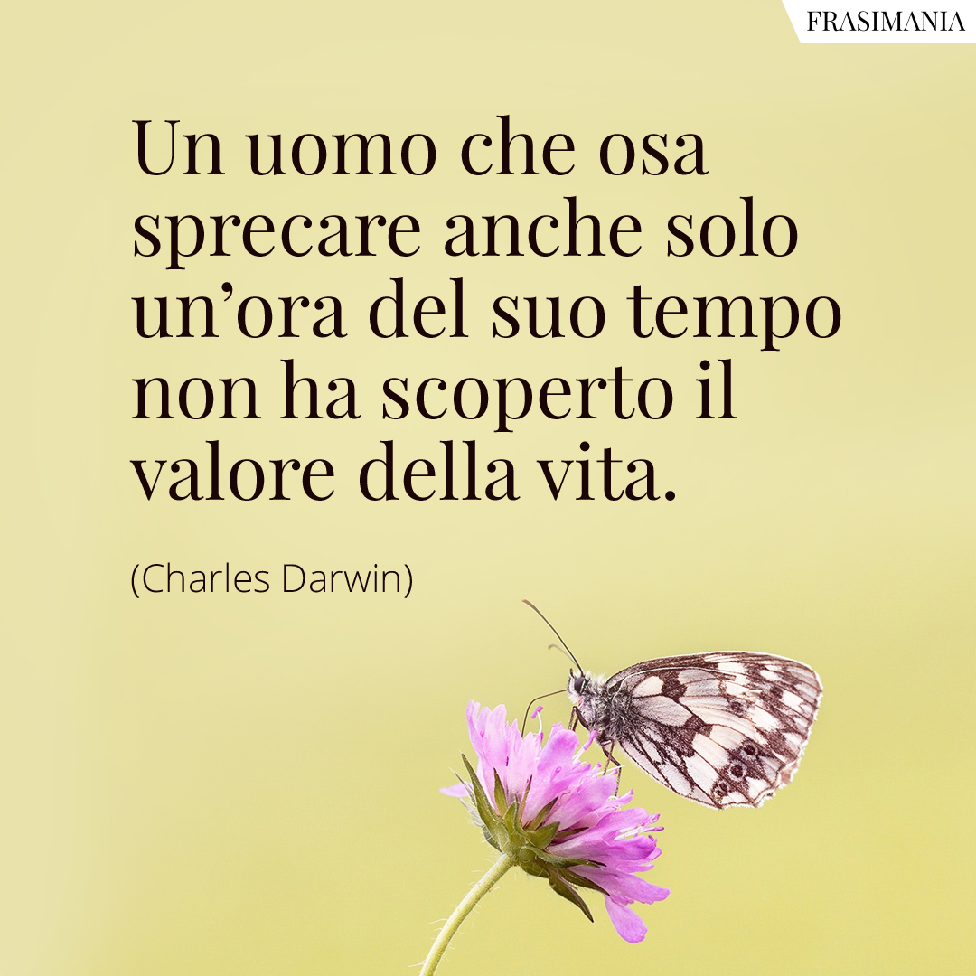 Frasi tempo Darwin